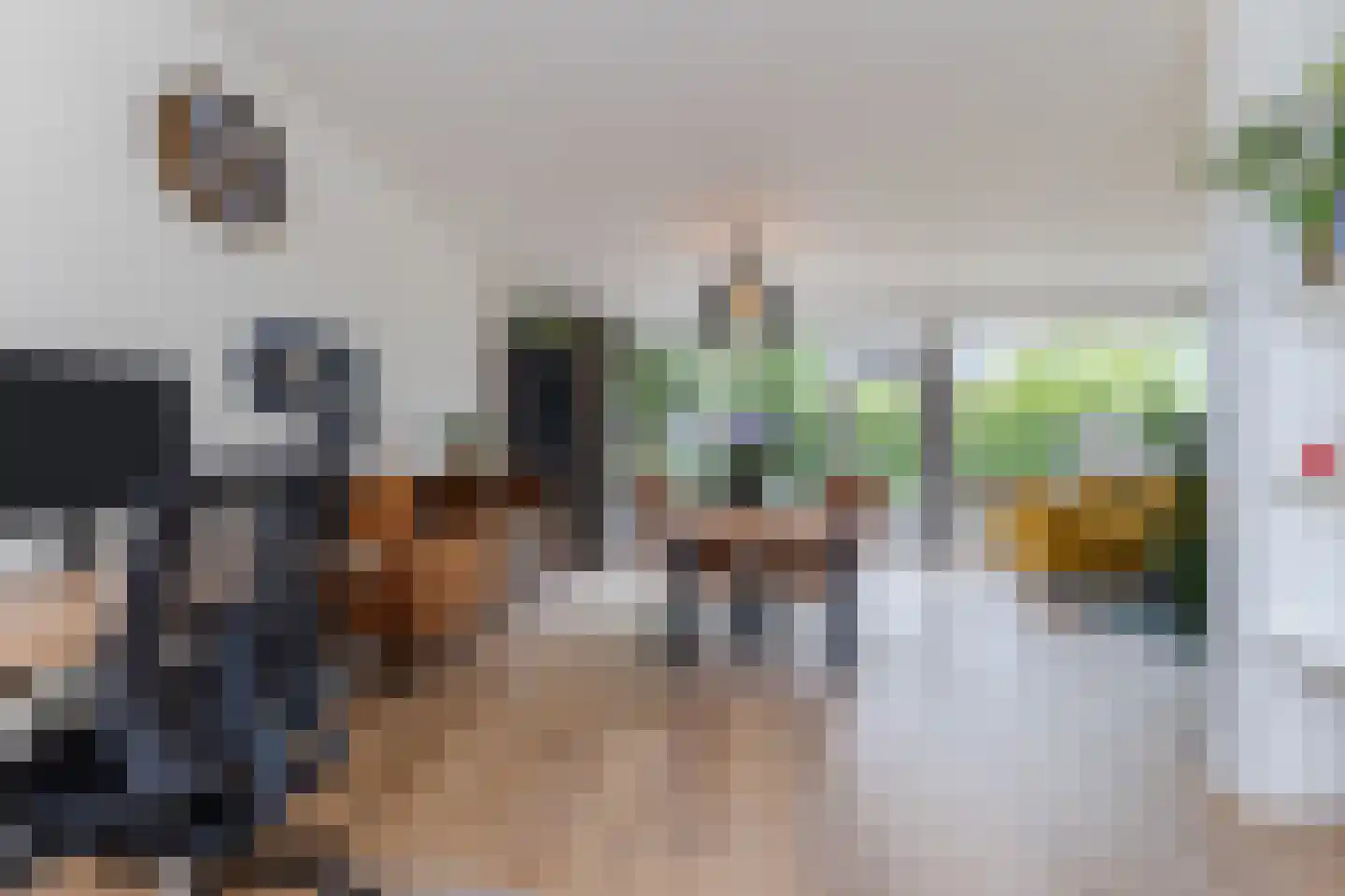 Ratelaar 1 Maarheeze thumbnail 12