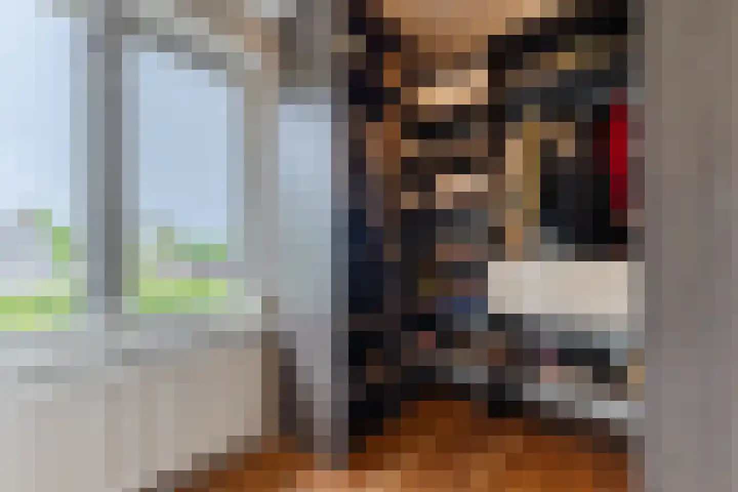 Ratelaar 1 Maarheeze thumbnail 26