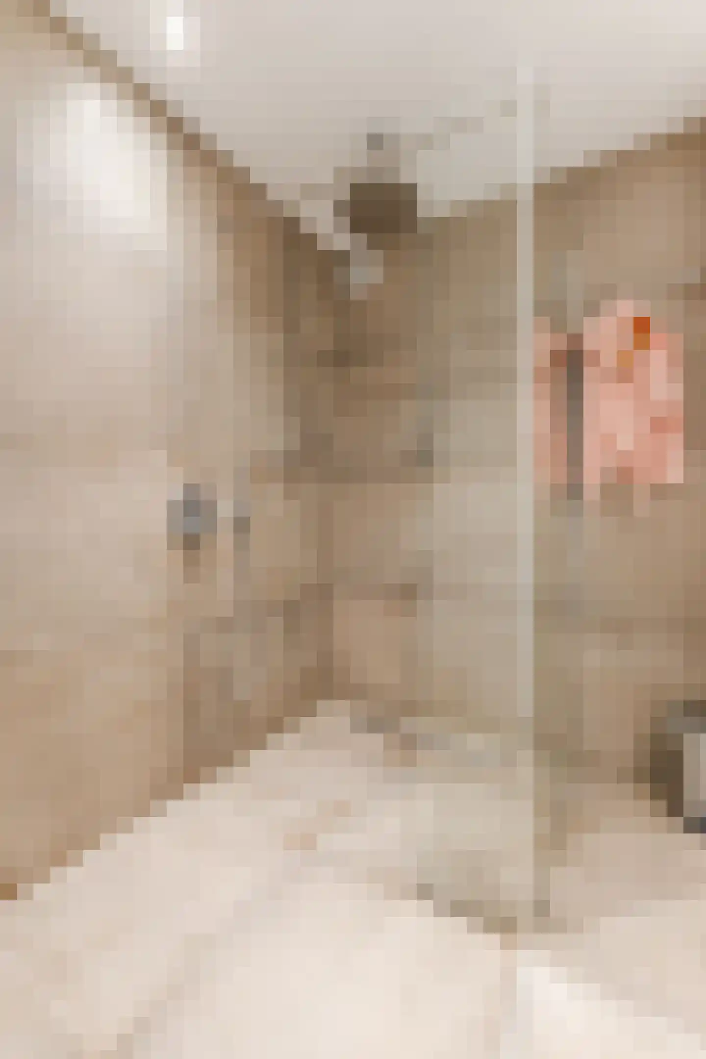 Ratelaar 1 Maarheeze thumbnail 29