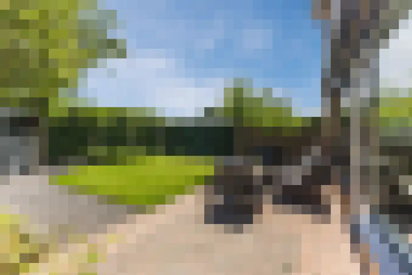 Ratelaar 1 Maarheeze thumbnail 31