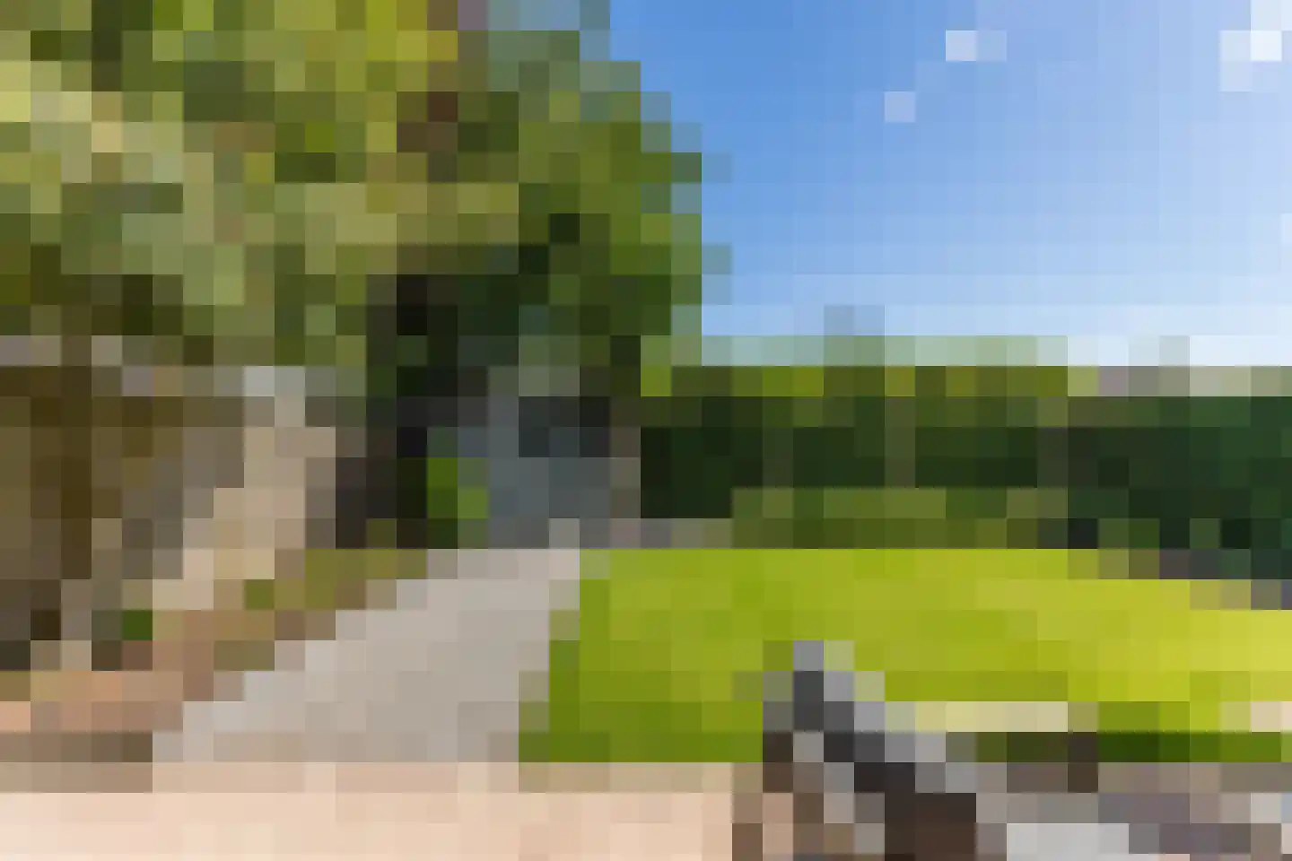 Ratelaar 1 Maarheeze thumbnail 32