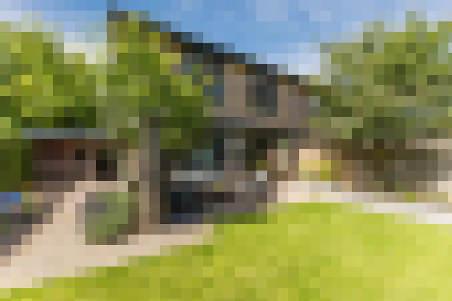 Ratelaar 1 Maarheeze thumbnail 35