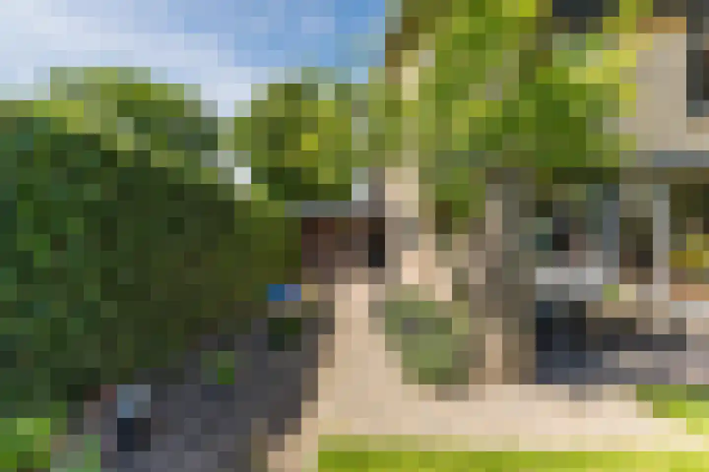 Ratelaar 1 Maarheeze thumbnail 36