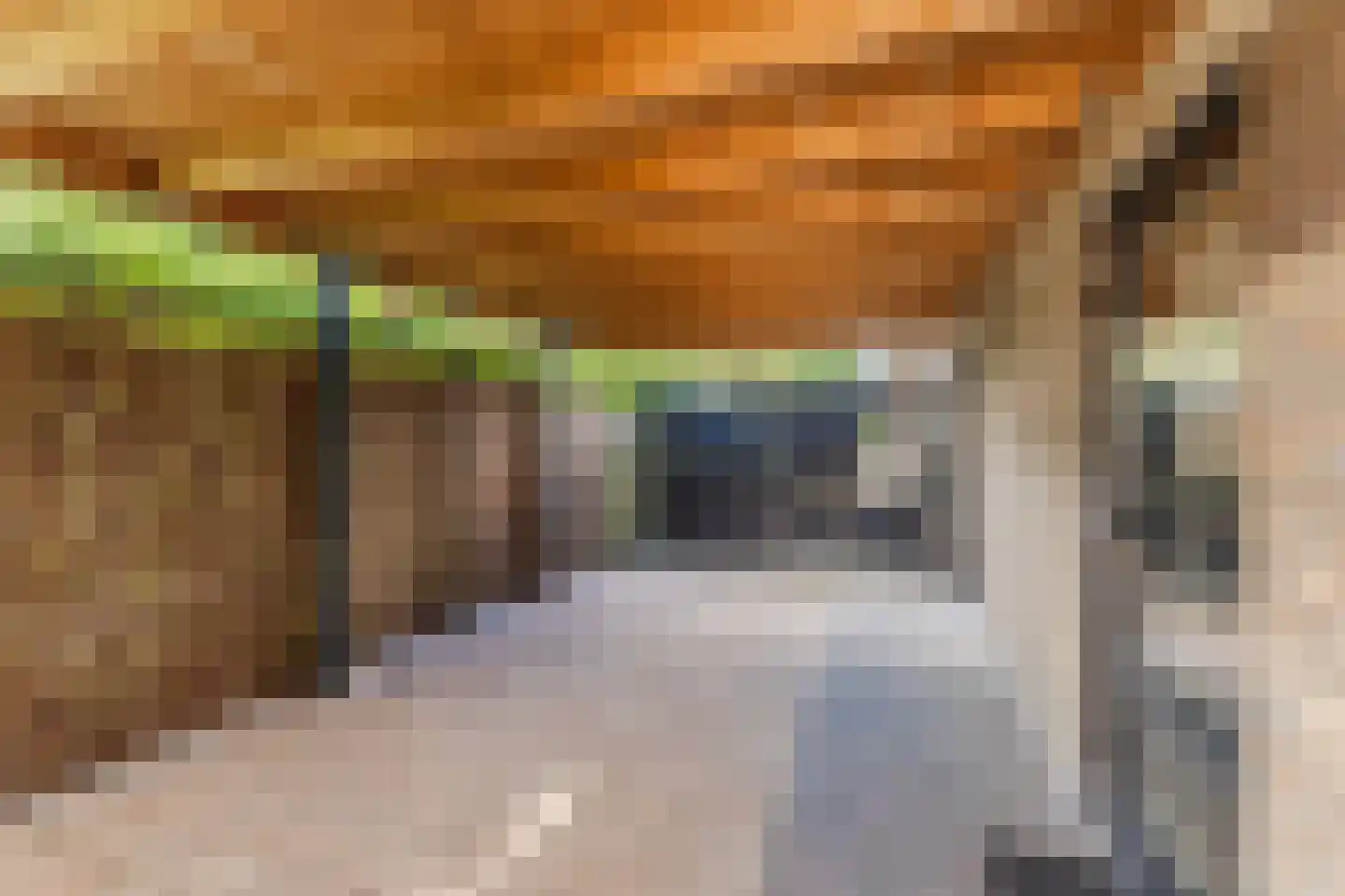 Ratelaar 1 Maarheeze thumbnail 38