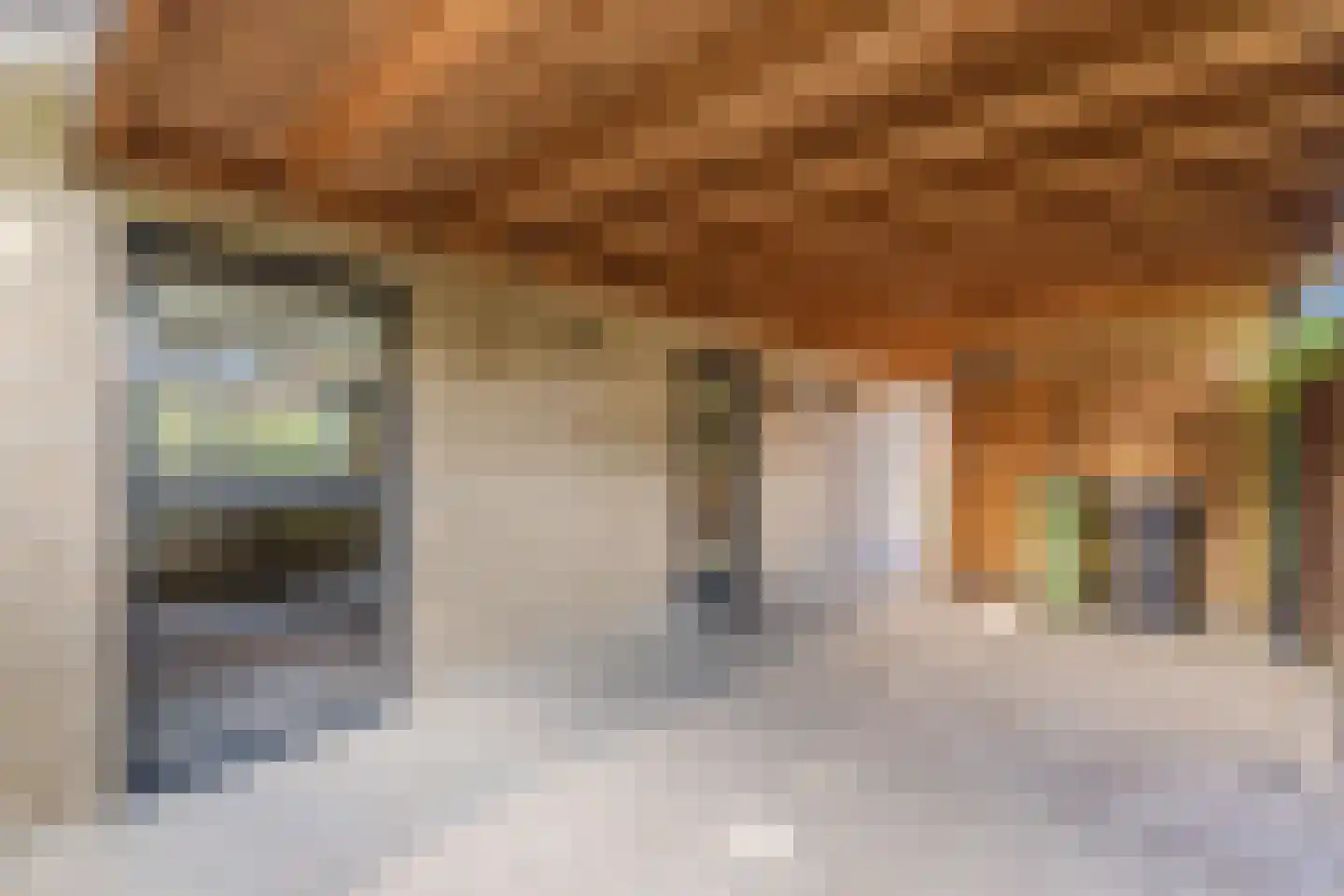 Ratelaar 1 Maarheeze thumbnail 39