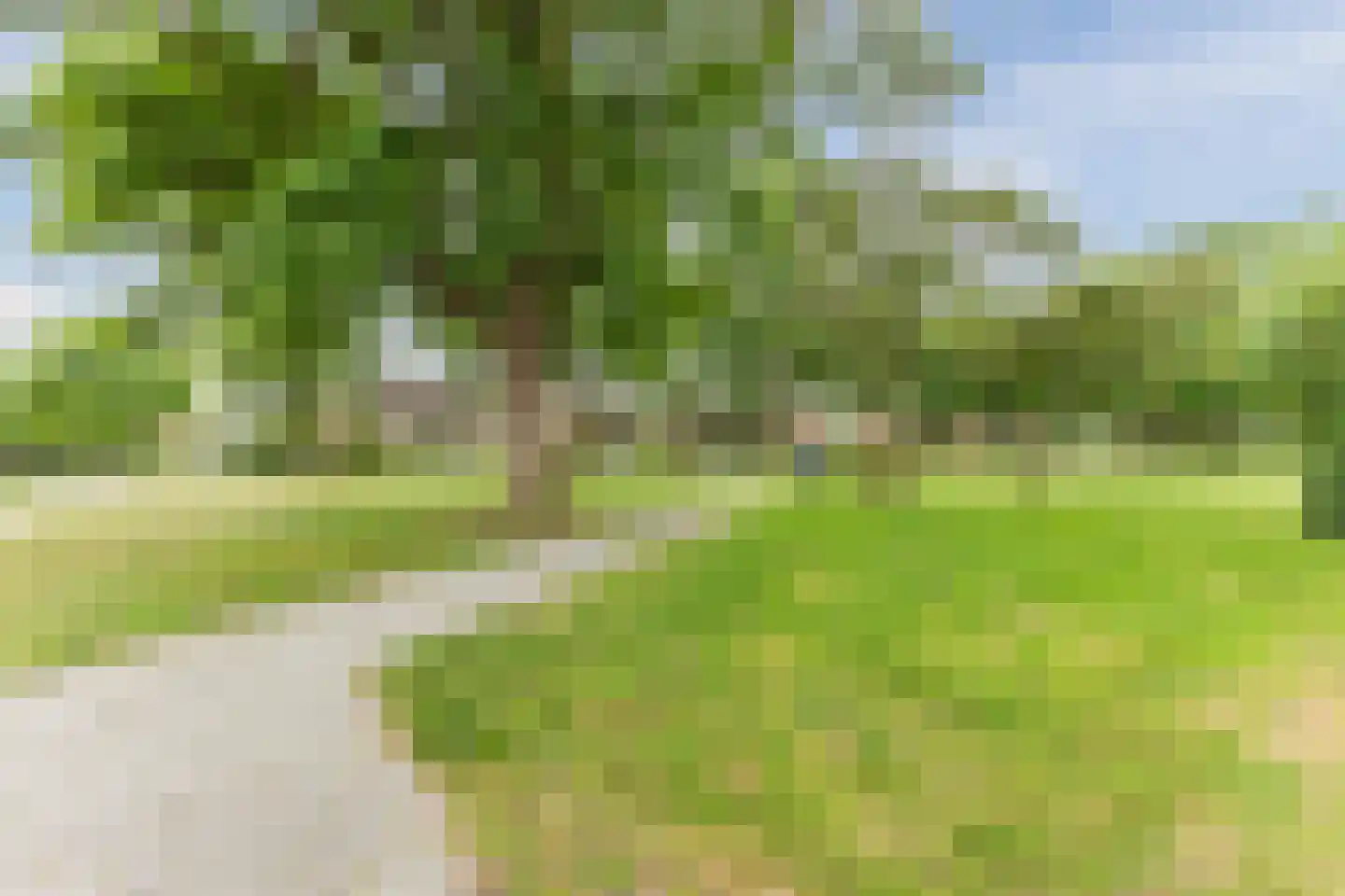 Ratelaar 1 Maarheeze thumbnail 41