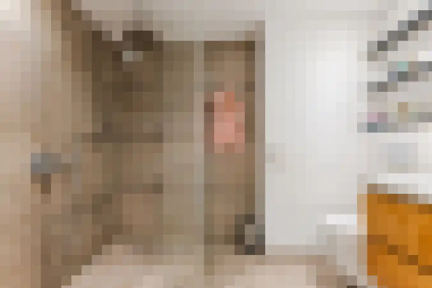 Ratelaar 1 Maarheeze thumbnail 6
