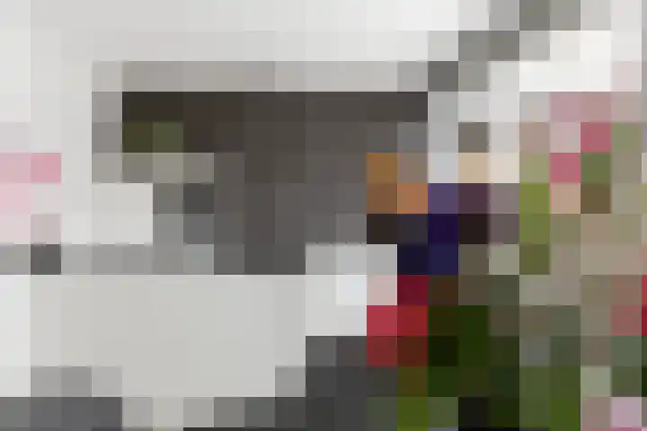 Ratelaar 10 Apeldoorn thumbnail 10