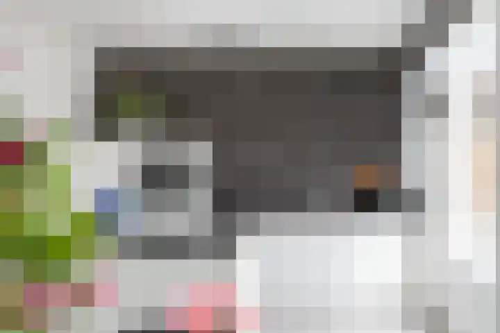 Ratelaar 10 Apeldoorn thumbnail 11