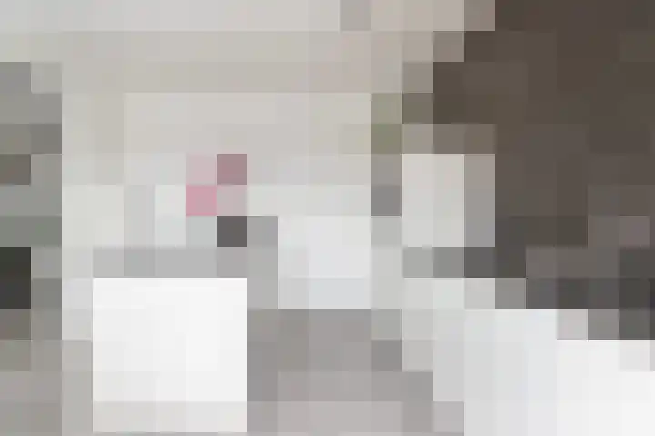 Ratelaar 10 Apeldoorn thumbnail 12