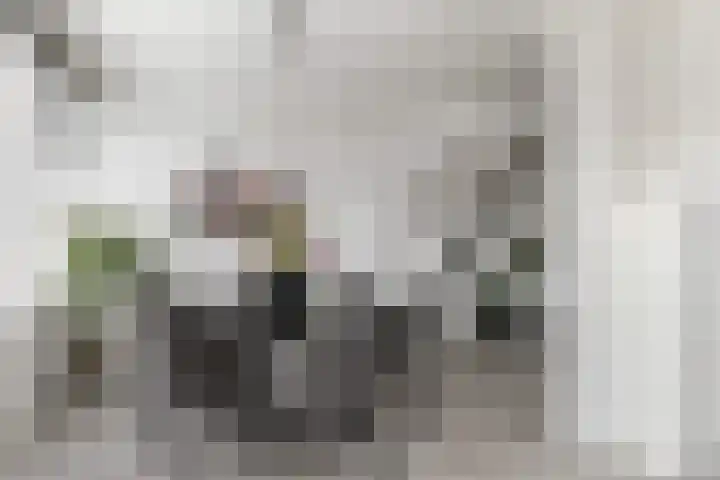 Ratelaar 10 Apeldoorn thumbnail 13