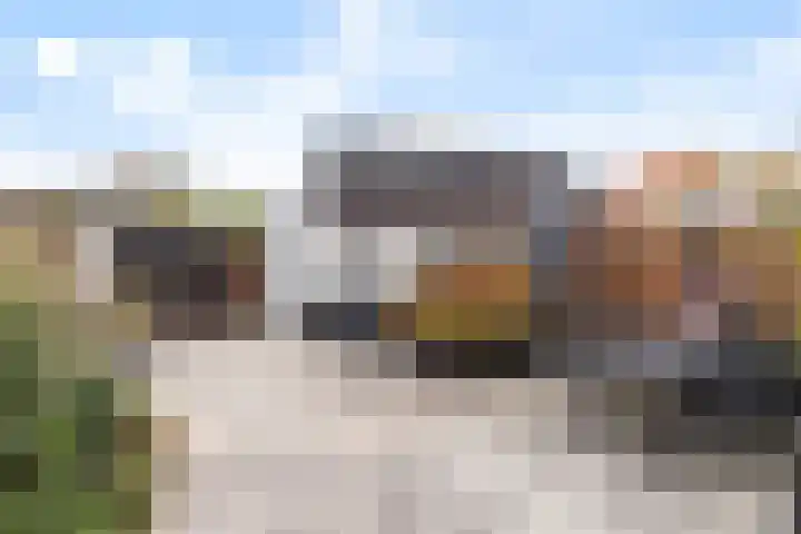 Ratelaar 10 Apeldoorn thumbnail 15