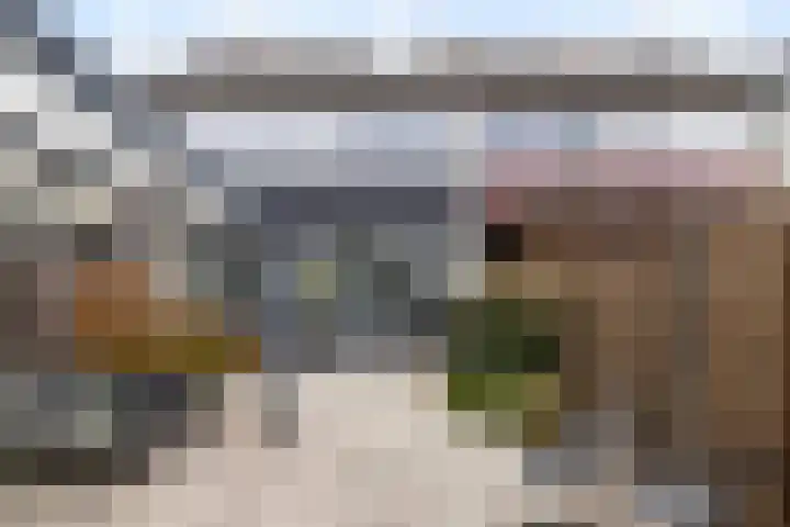 Ratelaar 10 Apeldoorn thumbnail 17
