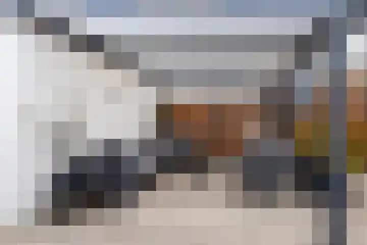 Ratelaar 10 Apeldoorn thumbnail 18