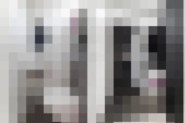 Ratelaar 10 Apeldoorn thumbnail 19