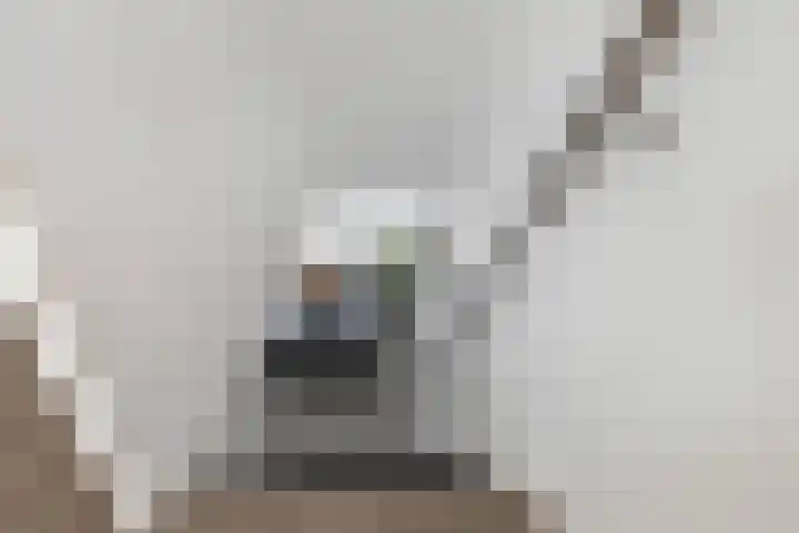 Ratelaar 10 Apeldoorn thumbnail 20