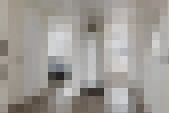 Ratelaar 10 Apeldoorn thumbnail 23