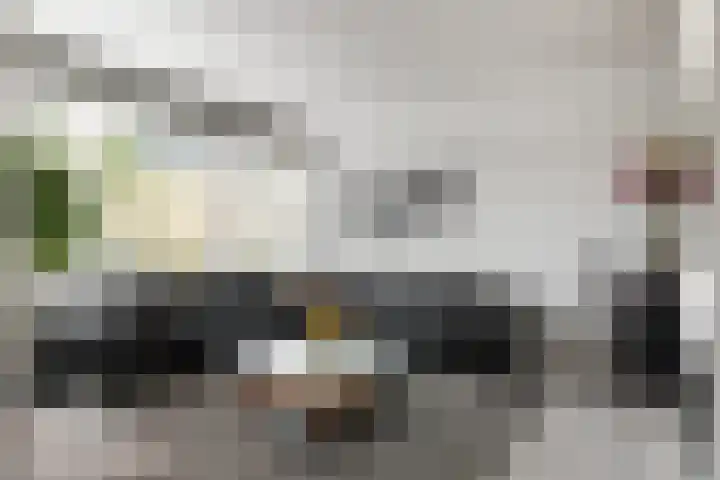 Ratelaar 10 Apeldoorn thumbnail 4