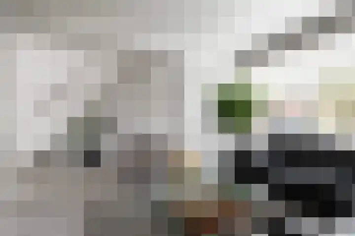 Ratelaar 10 Apeldoorn thumbnail 5