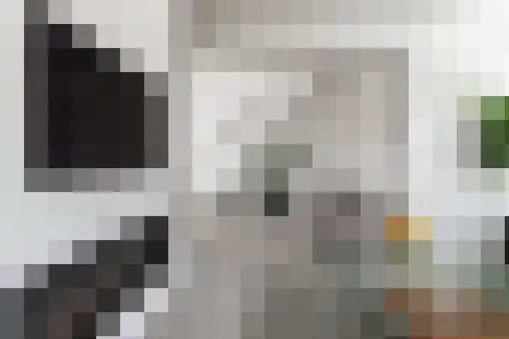 Ratelaar 10 Apeldoorn thumbnail 6