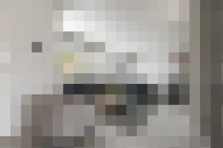 Ratelaar 10 Apeldoorn thumbnail 7