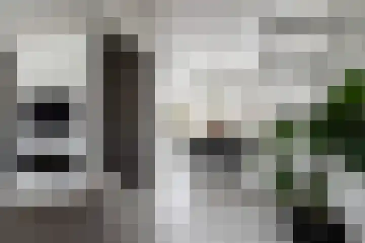Ratelaar 10 Apeldoorn thumbnail 8
