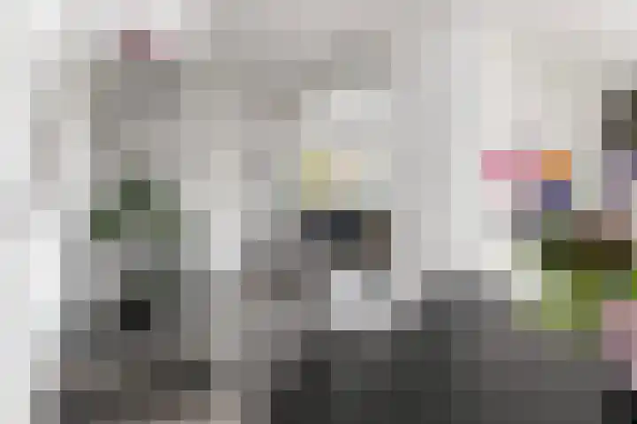 Ratelaar 10 Apeldoorn thumbnail 9