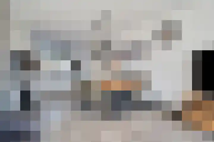 Ratelaar 12 Oldebroek thumbnail 15