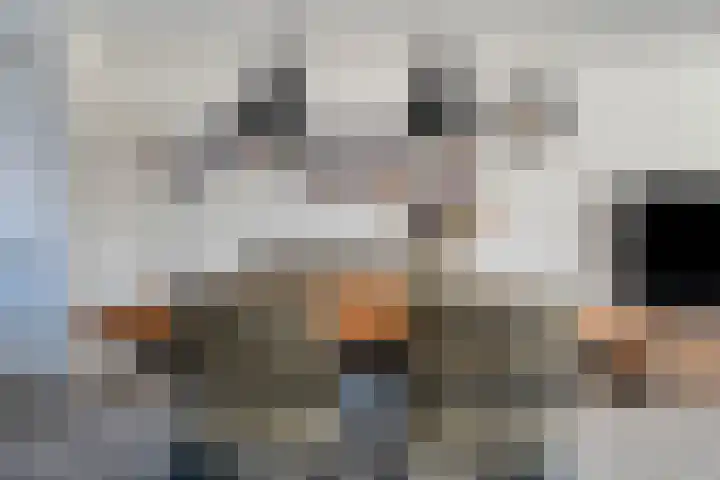 Ratelaar 12 Oldebroek thumbnail 16