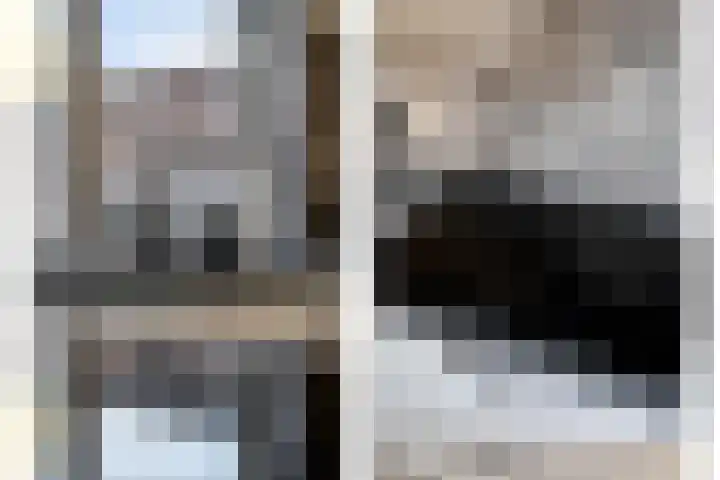 Ratelaar 12 Oldebroek thumbnail 22
