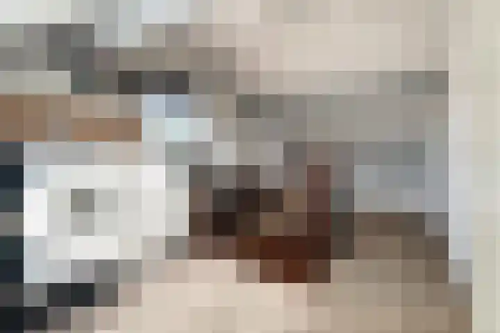 Ratelaar 12 Oldebroek thumbnail 34