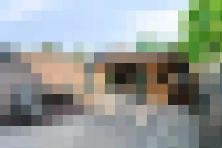 Ratelaar 12 Oldebroek thumbnail 37