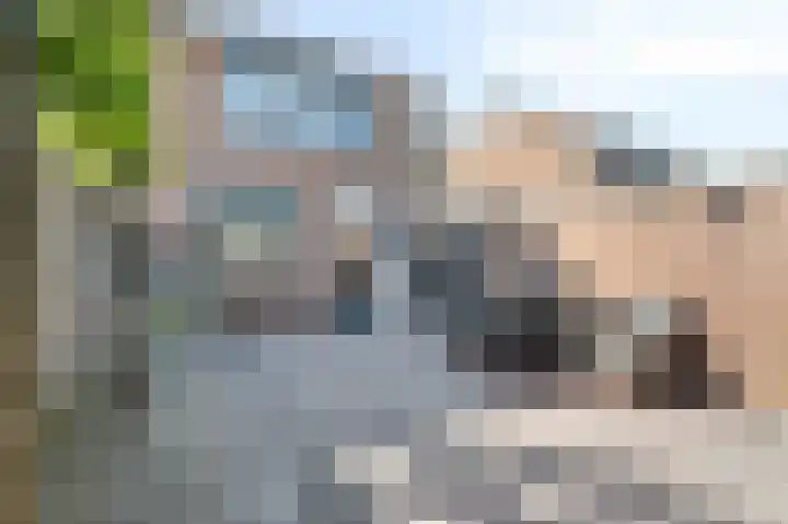 Ratelaar 12 Oldebroek thumbnail 40