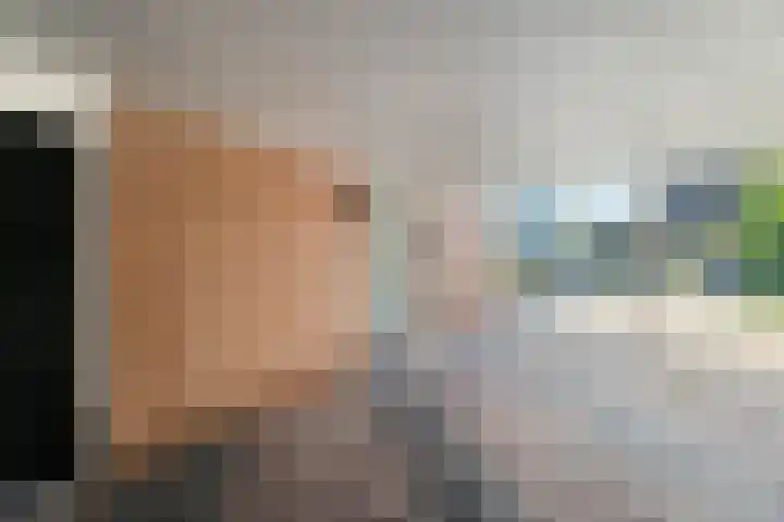 Ratelaar 12 Oldebroek thumbnail 5