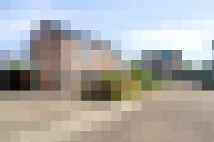Ratelaar 12 Oldebroek thumbnail 51