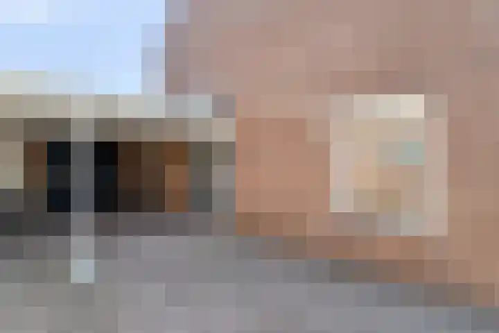 Ratelaar 12 Oldebroek thumbnail 6