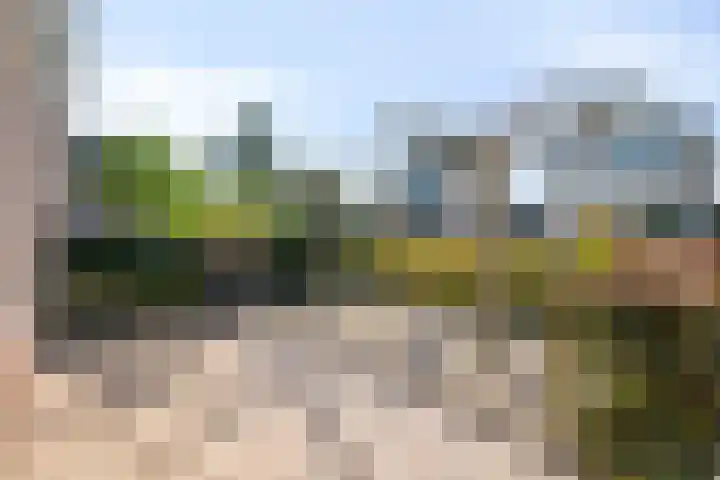 Ratelaar 12 Oldebroek thumbnail 7