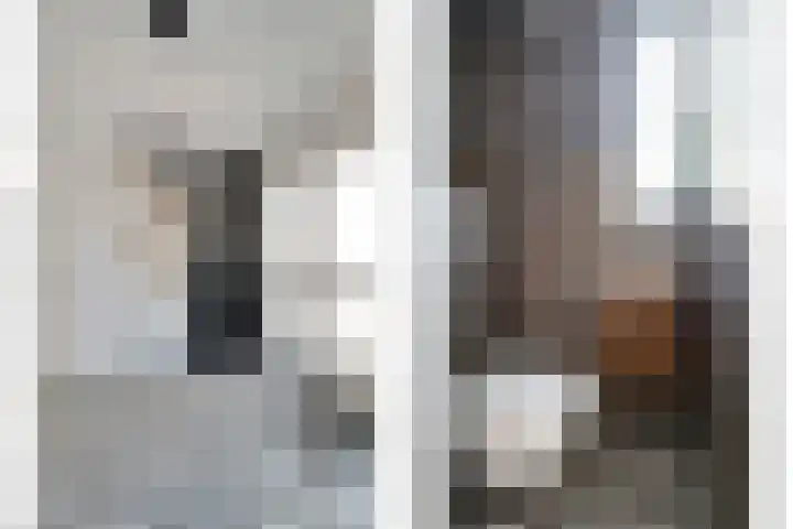 Ratelaar 12 Oldebroek thumbnail 8