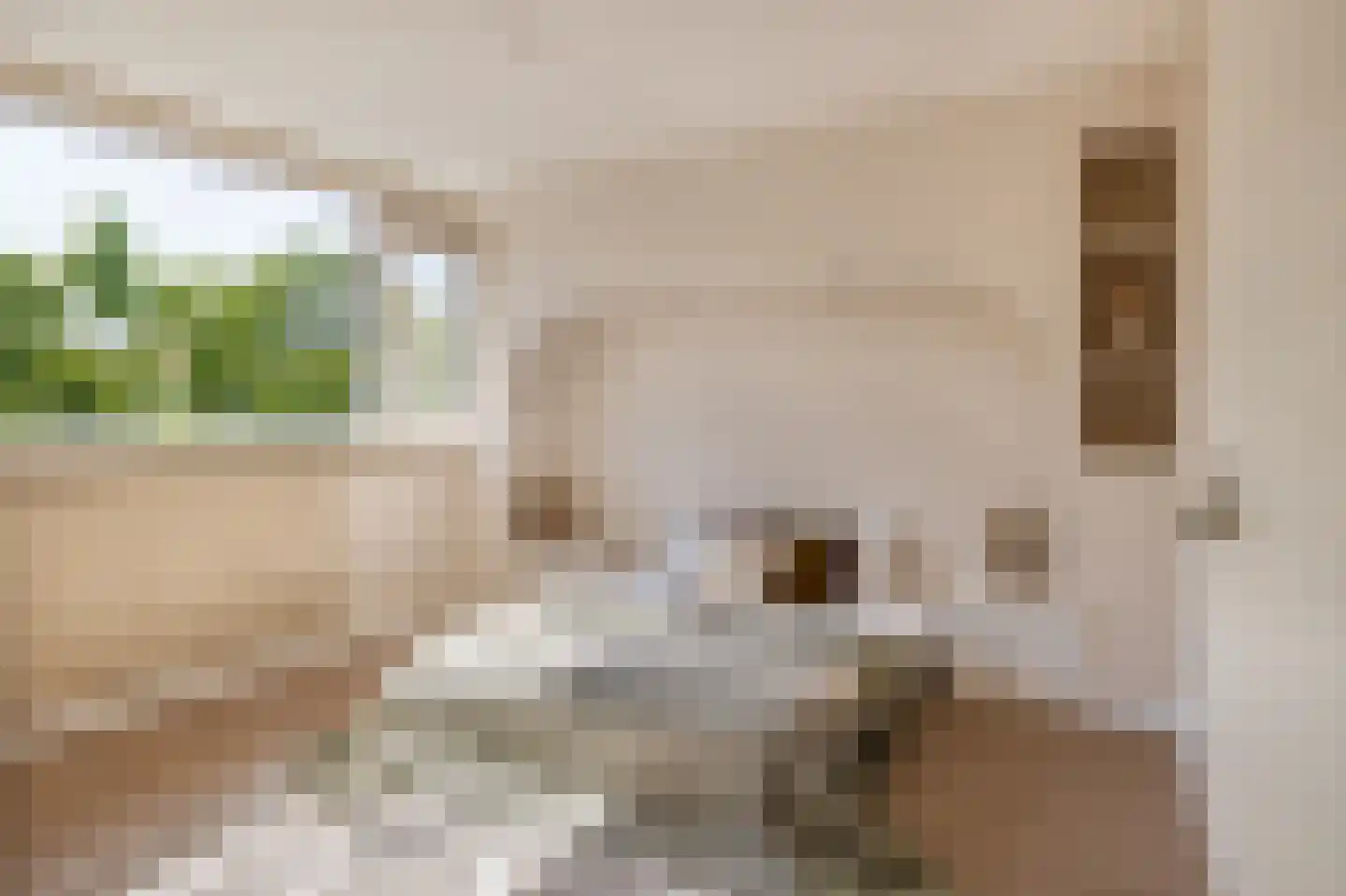 Ratelaar 14 Kampen thumbnail 12