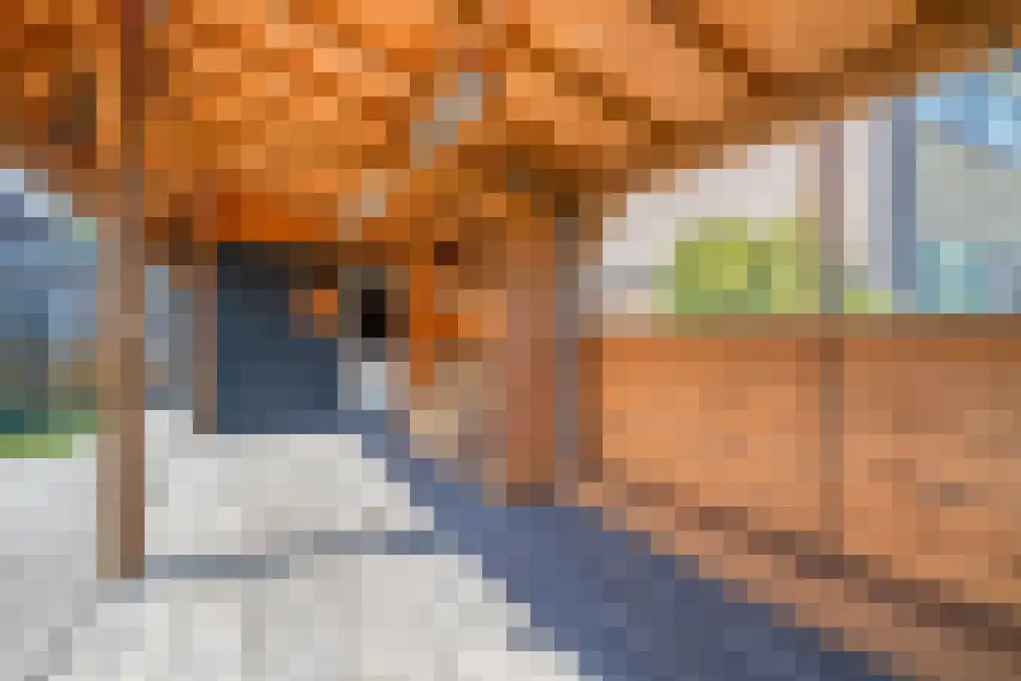 Ratelaar 14 Kampen thumbnail 26