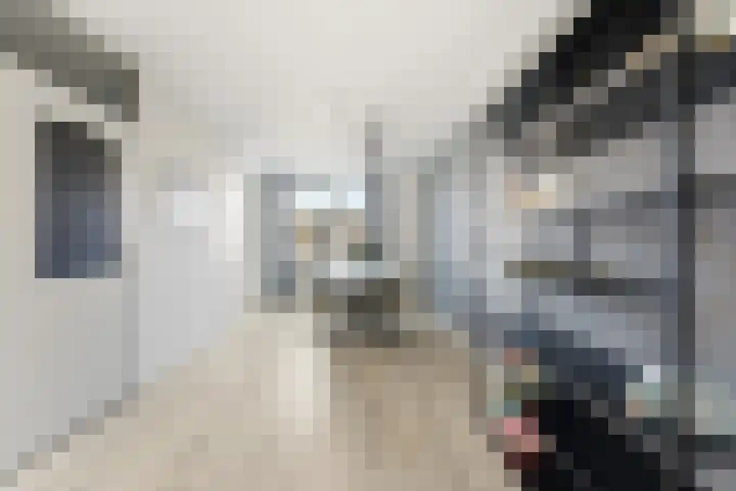Ratelaar 15 Alblasserdam thumbnail 10
