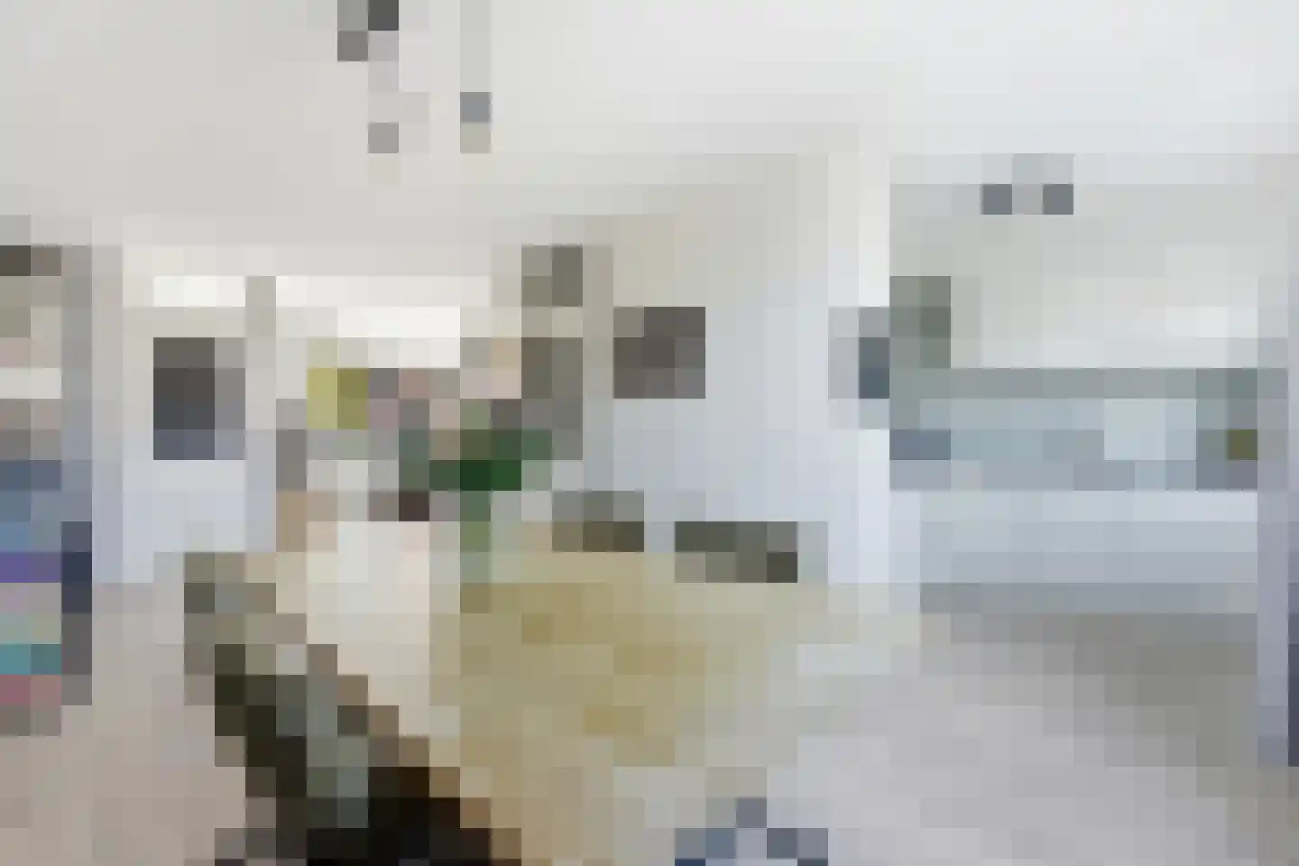 Ratelaar 15 Alblasserdam thumbnail 12