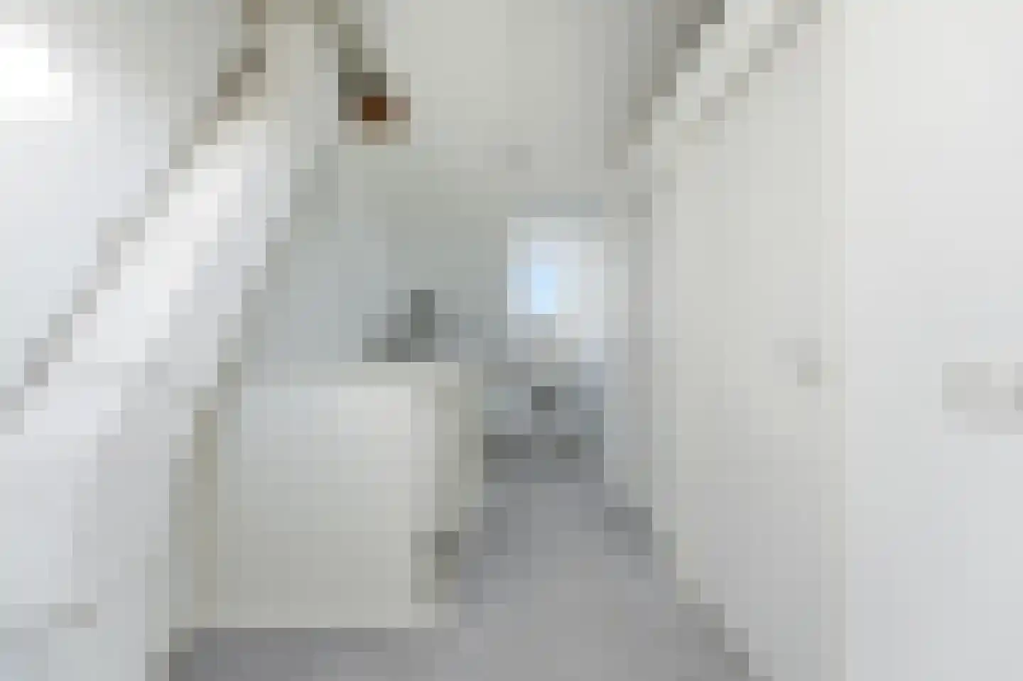 Ratelaar 15 Alblasserdam thumbnail 34