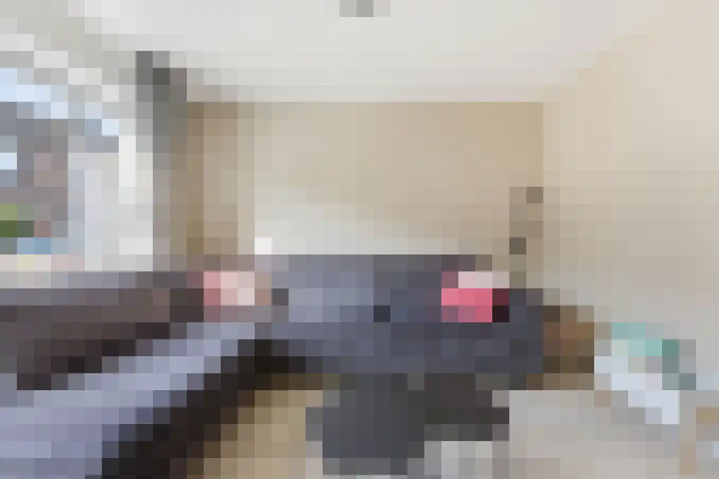 Ratelaar 15 Alblasserdam thumbnail 4