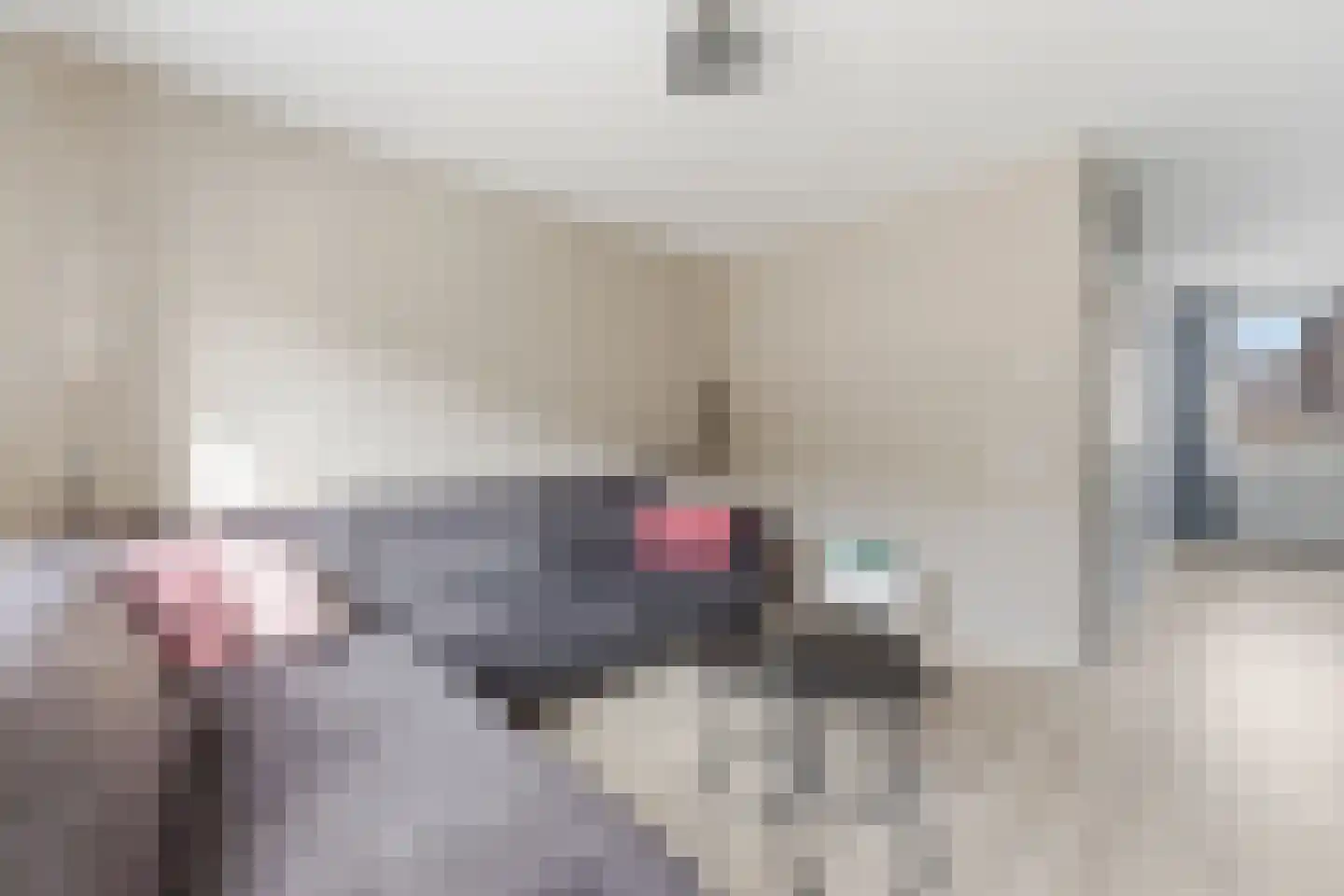 Ratelaar 15 Alblasserdam thumbnail 5