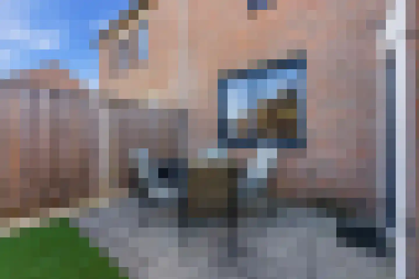 Ratelaar 15 Alblasserdam thumbnail 52