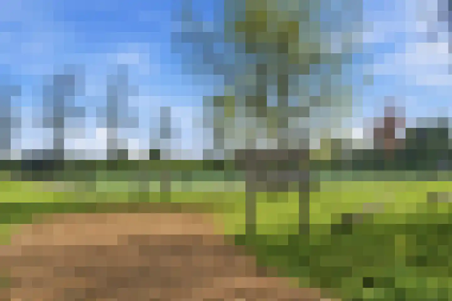 Ratelaar 15 Alblasserdam thumbnail 58
