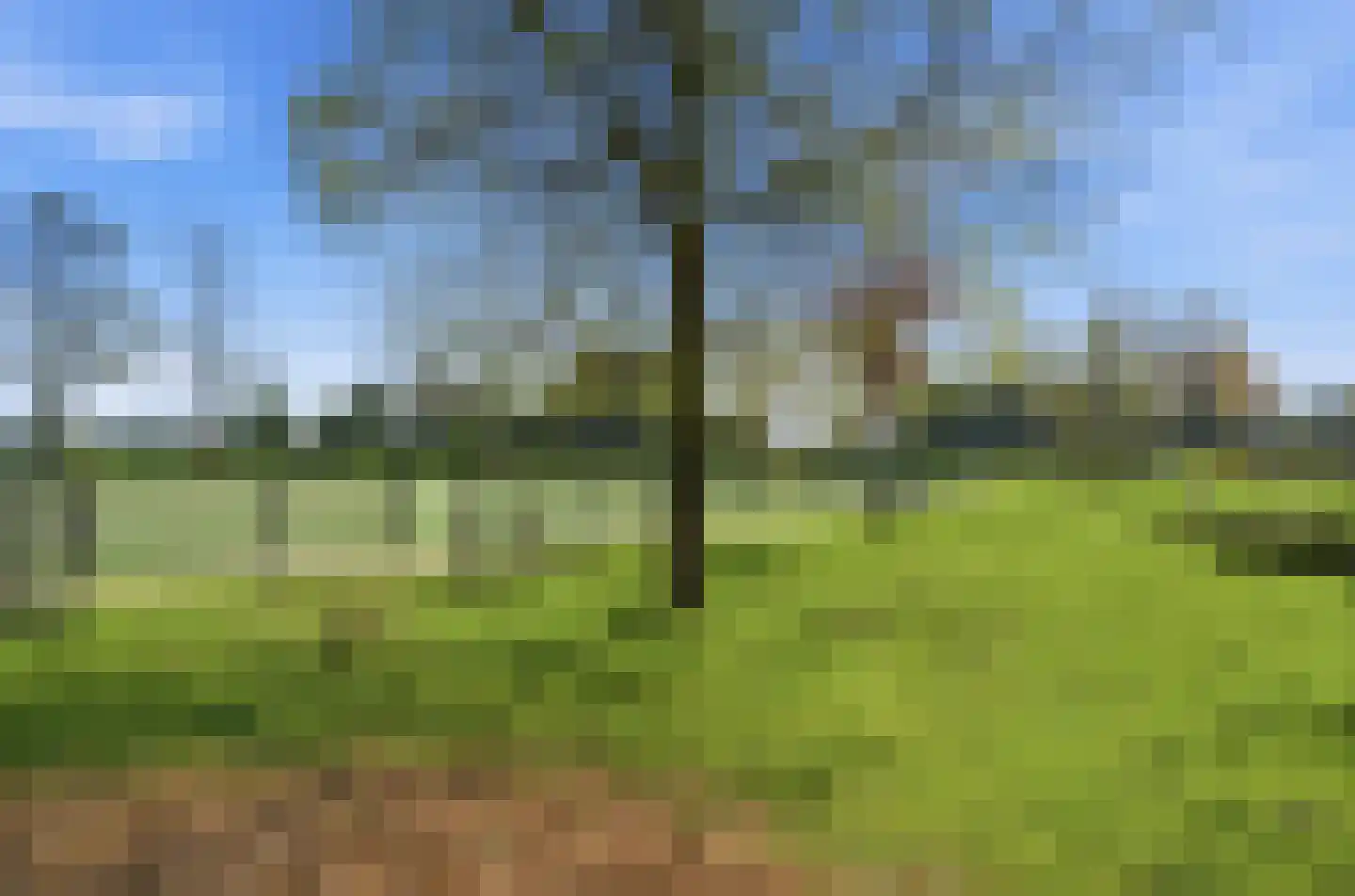 Ratelaar 15 Alblasserdam thumbnail 59