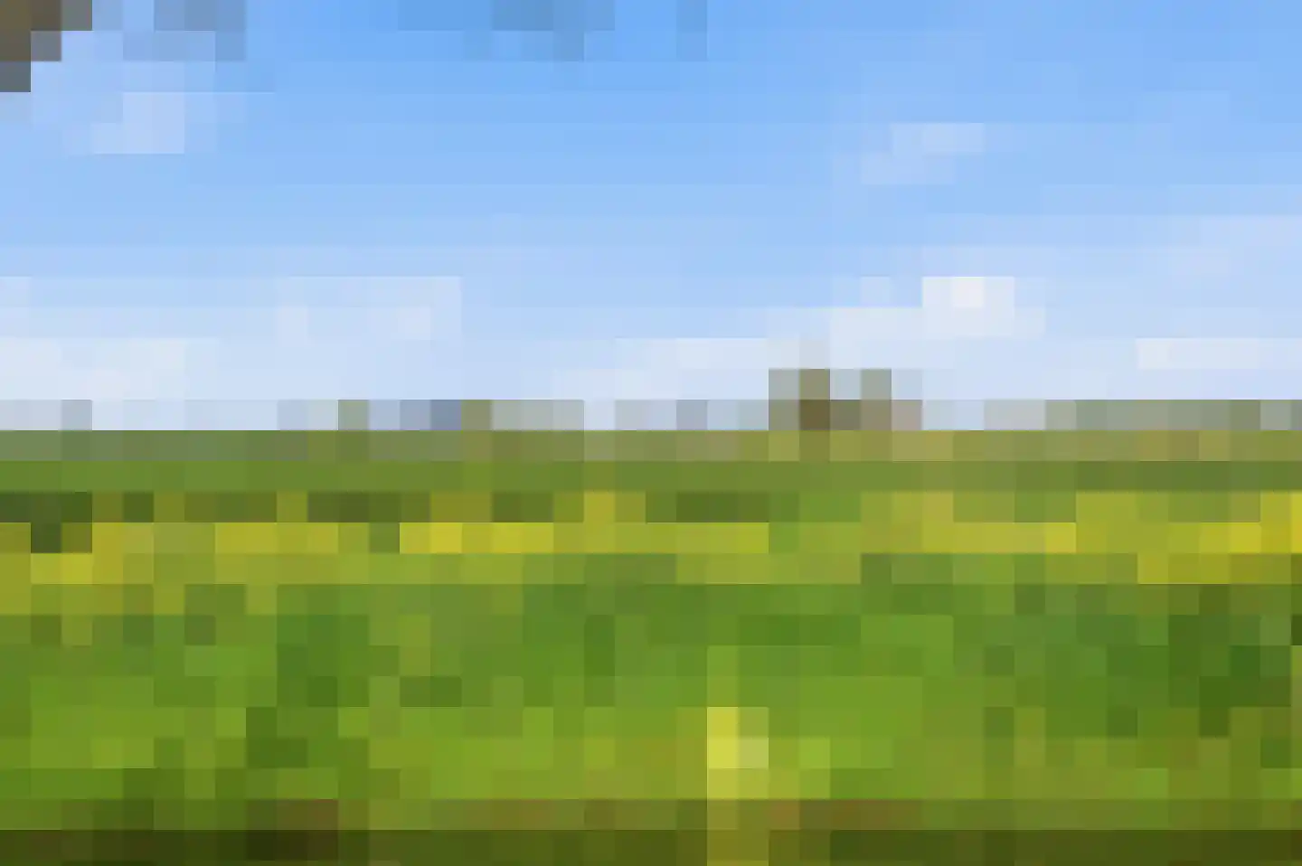 Ratelaar 15 Alblasserdam thumbnail 60