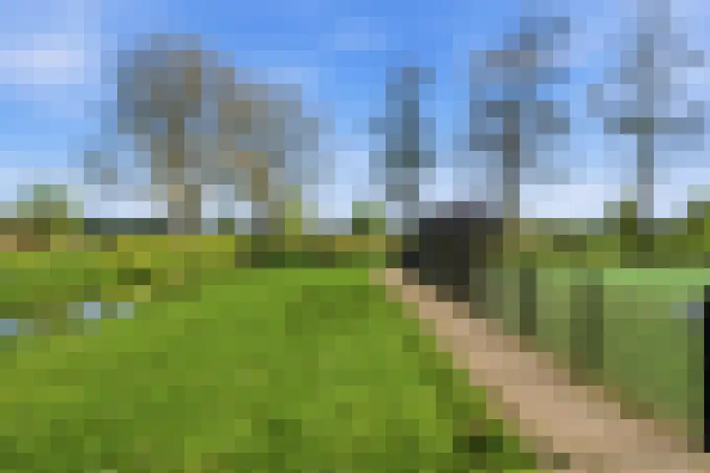 Ratelaar 15 Alblasserdam thumbnail 61